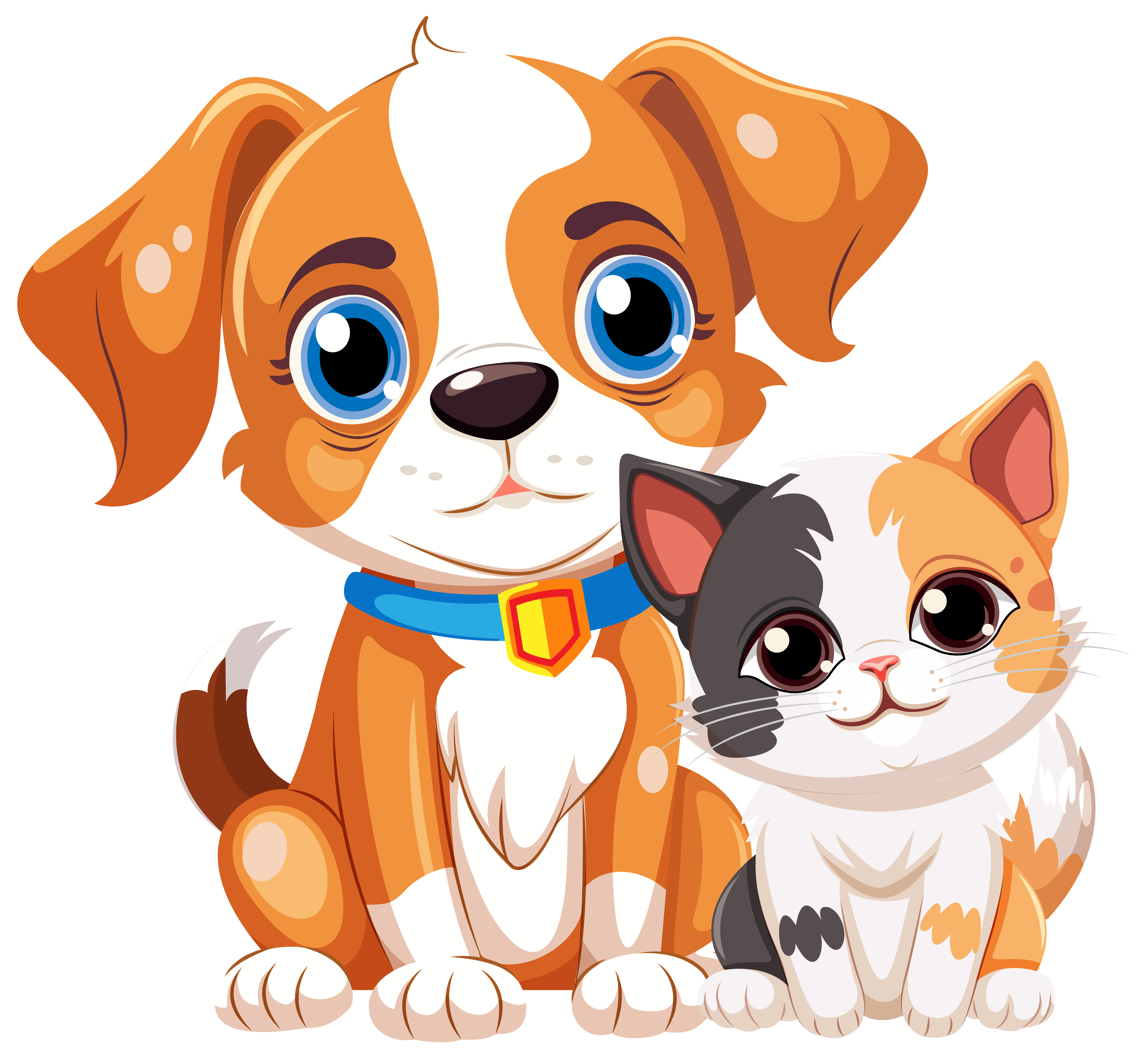 dog and cat